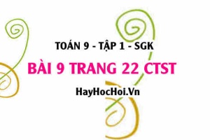 Bài 9 trang 22 Toán 9 tập 1 Chân trời sáng tạo SGK